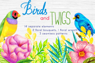 Birds and Twigs Graphic Collection: A Fresh Design Resource