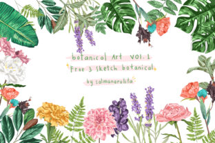 Colored Botanical Illustration: Creative Inspiration for Real-World Projects