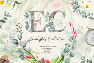 Exploring the Eucalyptus Collection: A Versatile Watercolor Design Resource for Creative Projects